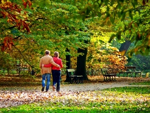 parco, foglie, alberi, coppia, panchine, autunno, due, verde, donna, uomo, rosso, passanti