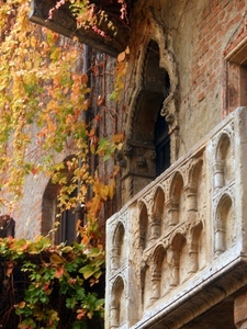 foglie, balcone, autunno, verona, rami, verde, finestra, piante, giallo, mattoni, giulietta, muro, casa, archi, edera