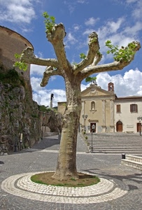 albero, chiesa, piazza, scalinata, nuvole, foglie, cielo, aiuola
