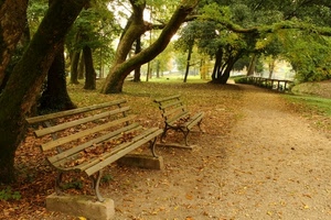 panchine, alberi, parco, foglie, autunno, viale, due, ponticello, vialetto