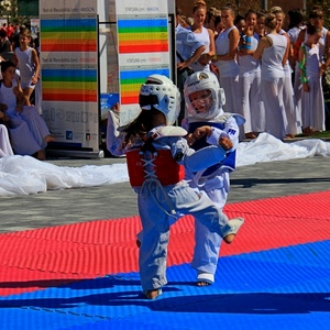 bambini, rosso, caschi, sport, persone, tappeto, atleti, blu, bianco, lotta, protezioni, gara, azzurro, tappeti, spettatori, gioco