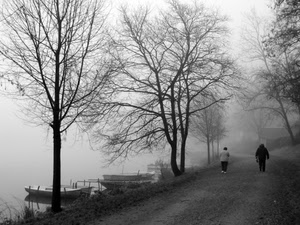 barche, nebbia, alberi, strada, persone, acqua, inverno, lago, viale, passanti, bianconero