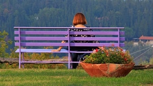 panchina, fiori, donna, viola, prato, vaso, alberi