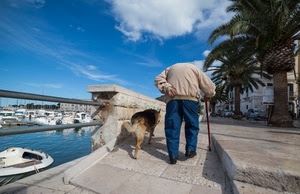 cane, bastone, barche, palme, anziano, mare, uomo, porto, passante, marciapiede