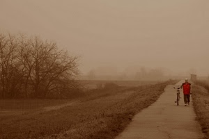 nebbia, alberi, bicicletta, strada, sentiero, rosso, uomo, ciclista, passante, erba, bici, seppia, persona