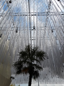 palma, albero, expo, cielo, architettura, tubi, padiglione, luci, milano, pianta