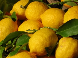 limoni, foglie, giallo, agrumi, verde, frutti, cibo