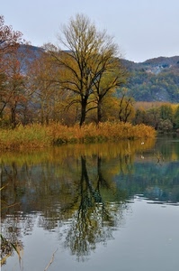 riflesso, alberi, acqua, autunno, cielo, montagne, giallo, lago, rami, fiume, vegetazione, montagna, erba, foglie, riflessi