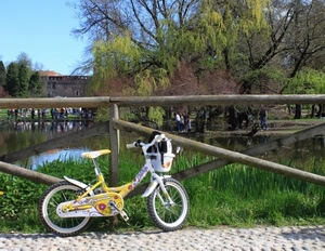 bicicletta, alberi, staccionata, erba, lago, acqua, persone, steccato, cestino