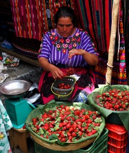 fragole, bilancia, donna, mani, frutta, mercato, cesti, rosso, ceste