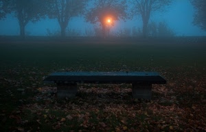 panchina, alberi, nebbia, foglie, prato, lampione, controluce, tramonto, sole