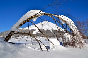 neve, rami, inverno, montagna, albero, bianco, cielo, azzurro, arco, alberi, montagne