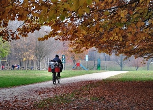 bicicletta, autunno, foglie, parco, viale, alberi, strada