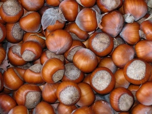 marrone, nocciole, frutta, tante, autunno, secca, castagne, marroni, cibo, tanti, numerose