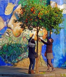 albero, murales, frutti, ragazze, donne, foglie, due, verde, murale, blu, pesci, mani