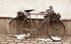 bicicletta, fiori, seppia, cestino, neve, ruote, catena, sellino, muro