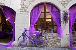 viola, bicicletta, tende, finestra, finestre, negozio