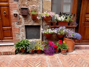 fiori, vasi, piante, porte, colori, posta, porta