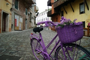 viola, bicicletta, strada, cestino, lavanda, fiori, ruote, palazzi, case