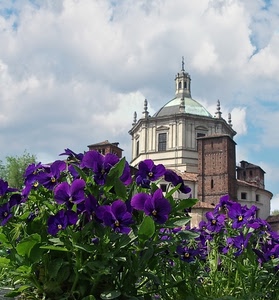 fiori, viola, chiesa, cupola, verde, nuvole, torre, foglie, viole