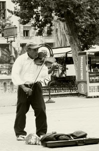 violino, musicista, violinista, bianconero, uomo, suonatore, custodia, albero, strumento