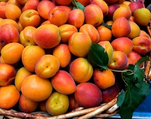 frutta, albicocche, cesto, foglie, giallo, rosso, verde, arancione, arancio, fresca