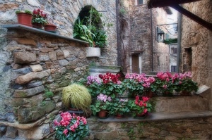 fiori, vasi, piante, vicolo, pietre, arco, ciclamini, case