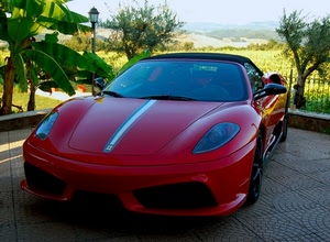 ferrari, rosso, alberi, auto, automobile, sportiva, verde, lampione, macchina, cavallino, fari, cofano