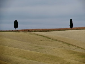 due, alberi, cielo, campi, verde, paesaggio, campo, erba, campagna