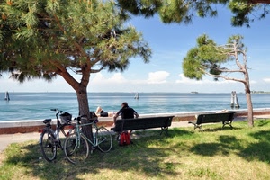 panchine, biciclette, alberi, mare, albero, acqua, panchina, lungomare, prato, zaino, bici, pini