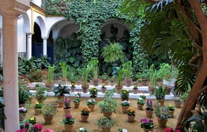 fiori, vasi, piante, verde, archi, colonne, rampicante, giardino, colonna