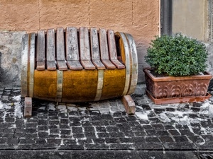 panchina, pianta, botte, legno, vaso, verde, muro, marciapiede, assi, neve