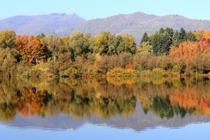alberi, autunno, montagne, riflessi, riflesso, lago, acqua, bosco, fiume, giallo