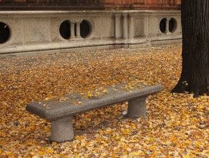 panchina, foglie, autunno, tronco, albero, giallo, balaustra