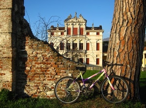 bicicletta, muro, albero, villa, mattoni, tronco, casa, finestre