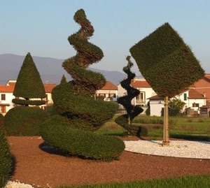 verde, piante, spirale, giardino, alberi, geometrie, aiuole, sculture, geometrico, siepi, case, aiuola