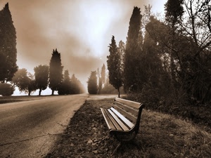 alberi, panchina, strada, nuvole, nebbia, seppia, prospettiva