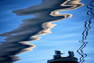 acqua, riflesso, gabbiani, azzurro, nuvole, riflessi, mare, onde, uccelli, cielo, onda, strisce