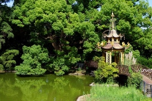 verde, ponte, alberi, laghetto, pagoda, lago, giardino, piante, gazebo