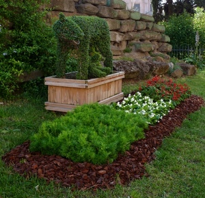 verde, fiori, giardino, aiuola, pietre, erba, prato, siepe, piante, bianco