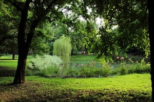 alberi, verde, fiori, parco, prato, erba, giardino, rami, piante, acqua, laghetto