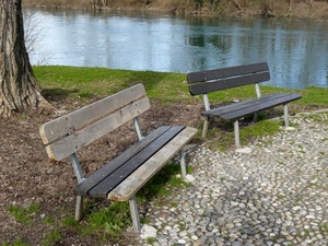 panchine, fiume, acqua, legno, sassi, tronco, albero, due, prato