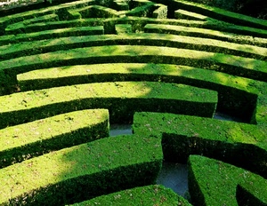 verde, labirinto, siepi, piante, giardino, siepe, aiuole, aiuola