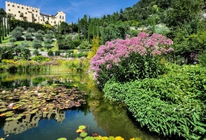 fiori, piante, verde, giardino, acqua, alberi, castello, cielo, laghetto, palazzo, ninfee, foglie, riflessi, lago, colori, riflesso