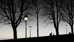 alberi, lampioni, rami, luci, silhouette, controluce, parco, persone, lampione