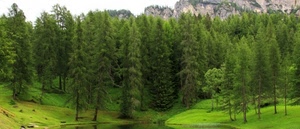 alberi, verde, bosco, acqua, montagna, erba, lago, fiume, laghetto, montagne, rocce, prato, cielo, abeti