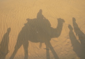 sabbia, cammello, deserto, ombre, ombra, persone, carovana, beduini