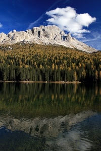 lago, montagna, riflesso, nuvole, alberi, bosco, cielo, riflessi