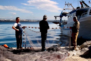 mare, rete, pescatori, tre, peschereccio, uomini, reti, barca, pesca, porto, cielo