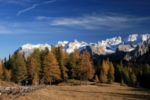 neve, alberi, cielo, montagna, montagne, bosco